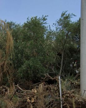 Οικόπεδο 720τ.μ. για πώληση-Νέο φάληρο