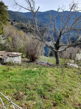 Οικόπεδο 1.125 τ.μ. για πώληση