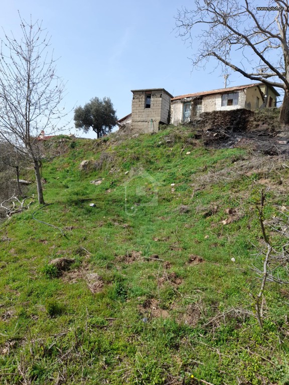 Οικόπεδο 1.125 τ.μ. προς πώληση, Βαμβακού Οινούντα