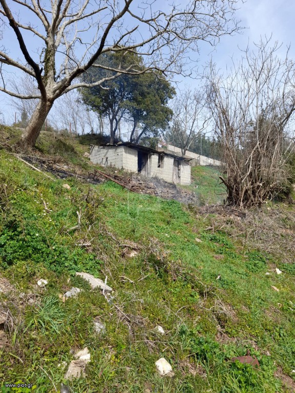 Οικόπεδο 1.125 τ.μ. προς πώληση, Βαμβακού Οινούντα
