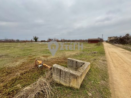 Αγροτεμάχια 5.300 τ.μ. για πώληση