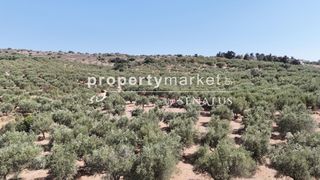 Οικόπεδο 3.900 τ.μ. για πώληση, Ν. Χανίων, Φρέ-thumb-1