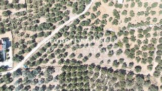 Οικόπεδο 3.900 τ.μ. για πώληση, Ν. Χανίων, Φρέ-thumb-3