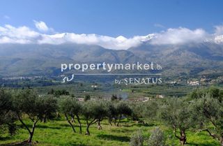 Οικόπεδο 3.900 τ.μ. για πώληση, Ν. Χανίων, Φρέ-thumb-5