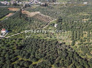 Οικόπεδο 3.900 τ.μ. για πώληση, Ν. Χανίων, Φρέ-thumb-2
