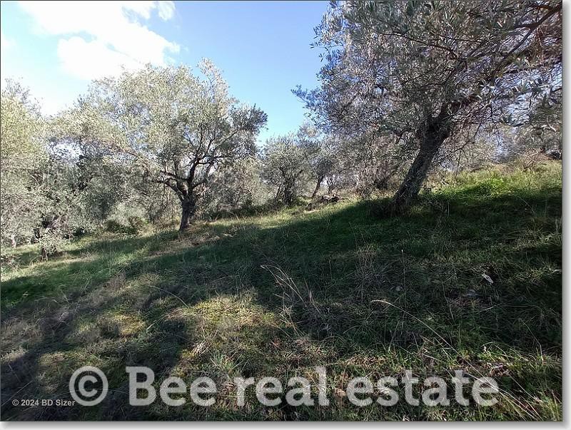 Αγροτεμάχια 3.500 τ.μ. πρός πώληση, Μαγνησία, Νέα Ιωνία Βόλου