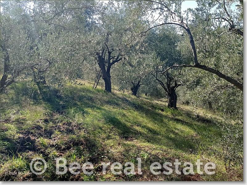 Αγροτεμάχια 3.500 τ.μ. πρός πώληση, Μαγνησία, Νέα Ιωνία Βόλου