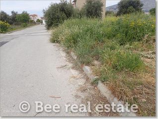 Οικόπεδο 300 τ.μ. για πώληση, Μαγνησία, Βόλος-thumb-12