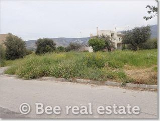Οικόπεδο 300 τ.μ. για πώληση, Μαγνησία, Βόλος-thumb-15