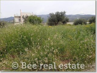 Οικόπεδο 300 τ.μ. για πώληση, Μαγνησία, Βόλος-thumb-11