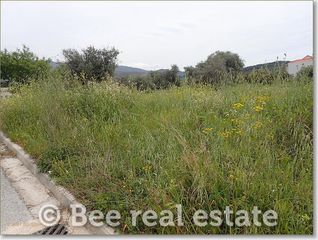 Οικόπεδο 300 τ.μ. για πώληση, Μαγνησία, Βόλος-thumb-9