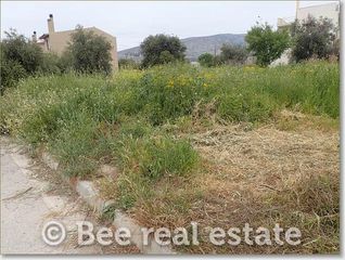 Οικόπεδο 300 τ.μ. για πώληση, Μαγνησία, Βόλος-thumb-13
