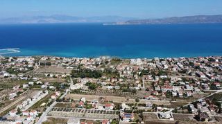 Οικόπεδο 6.000 τ.μ. για πώληση