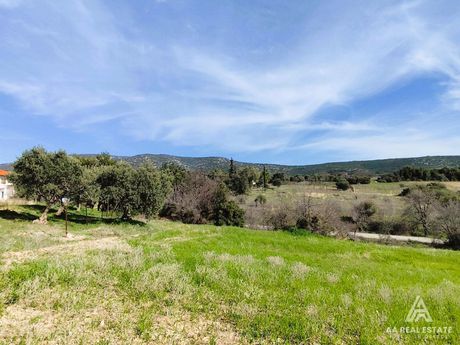Parcel 2.961sqm for sale-Triglia » Petralona