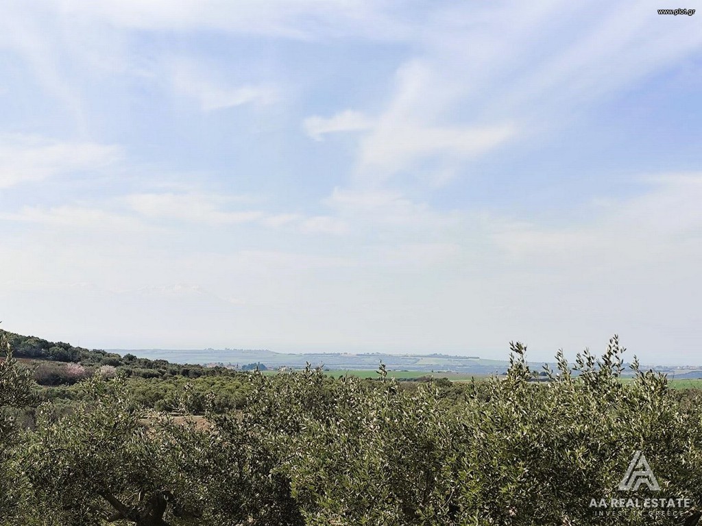 Αγροτεμάχια 2.961 τ.μ. πρός πώληση, Χαλκιδική, Τριγλία