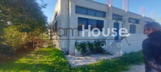 Επιχειρηματικό κτίριο 600 τ.μ. προς πώληση, Ιτιές-thumb-16