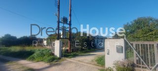 Επιχειρηματικό κτίριο 600 τ.μ. προς πώληση, Ιτιές-thumb-14
