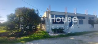 Επιχειρηματικό κτίριο 600 τ.μ. προς πώληση, Ιτιές-thumb-11