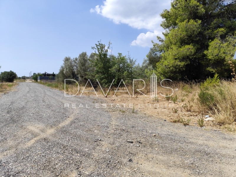 Οικόπεδο 732 τ.μ. πρός πώληση, Αθήνα - Ανατολικά Προάστια, Παλλήνη