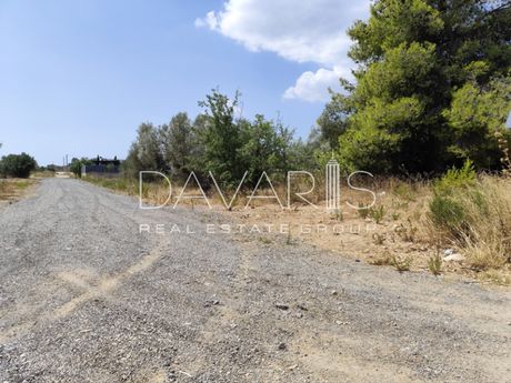 Οικόπεδο 732 τ.μ. πρός πώληση