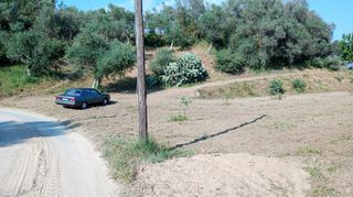 Οικόπεδο 4.000 τ.μ. για πώληση, Μεσσηνία, Ανδρούσα-thumb-1