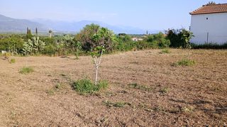 Οικόπεδο 4.000 τ.μ. για πώληση, Μεσσηνία, Ανδρούσα-thumb-8