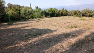 Οικόπεδο 4.000 τ.μ. για πώληση, Μεσσηνία, Ανδρούσα-thumb-9