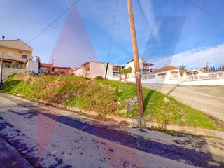 Οικόπεδο 284 τ.μ. για πώληση, Μαγνησία, Φερών-thumb-3