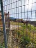 Land plot 400sqm for sale-Triglia » Krini