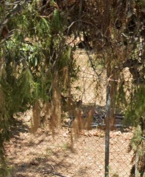 Land plot 351sqm for sale-Dafni » Ano Dafni