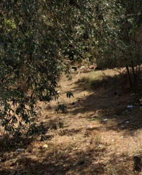 Οικόπεδο 407τ.μ. για πώληση-Νέο φάληρο