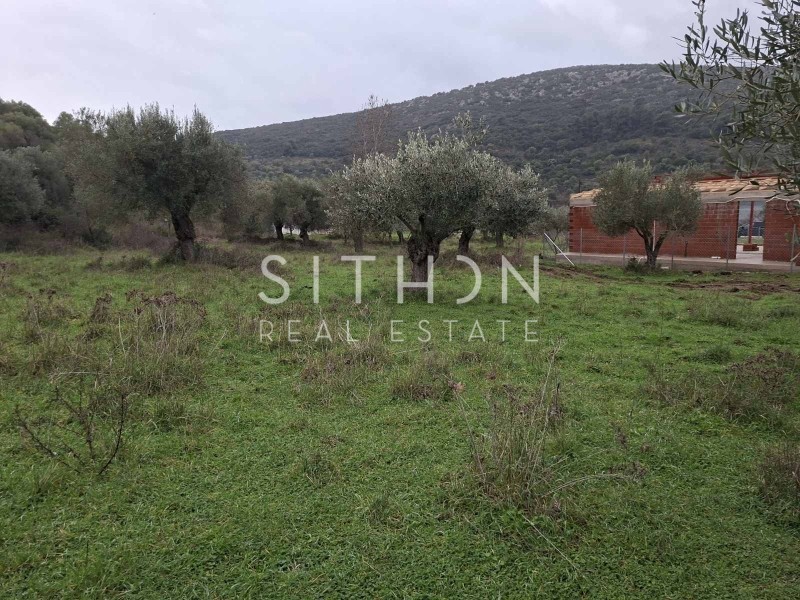 Αγροτεμάχια 480 τ.μ. προς πώληση, Κουφός Τορώνης