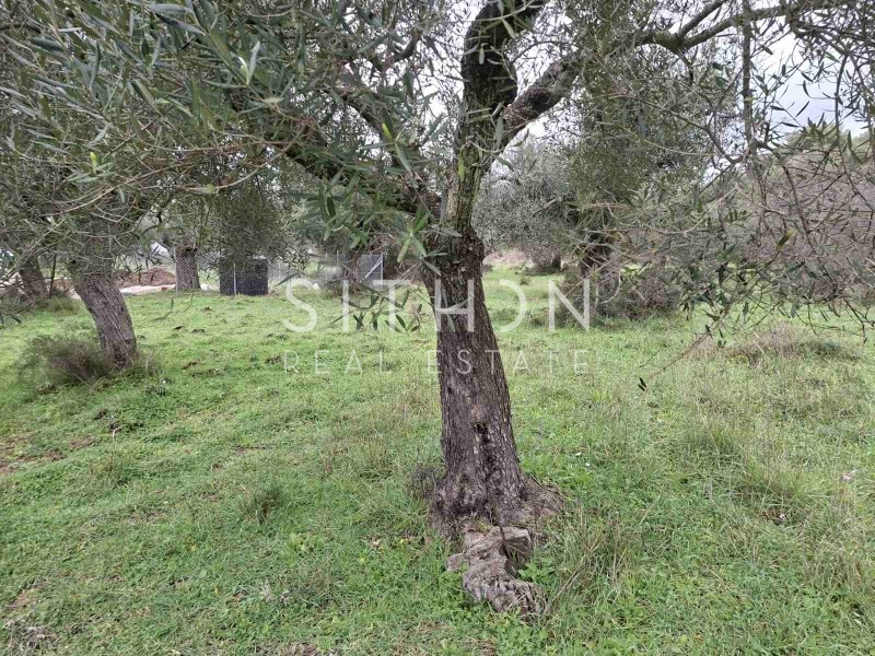 Αγροτεμάχια 480 τ.μ. προς πώληση, Κουφός Τορώνης