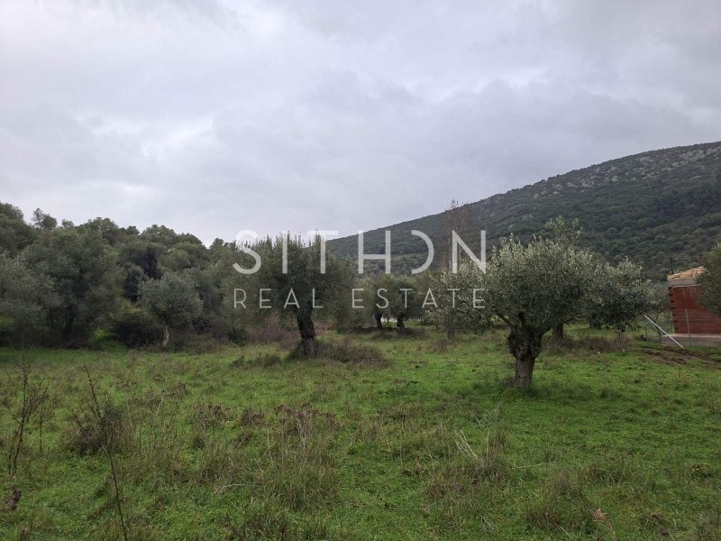 Αγροτεμάχια 480 τ.μ. προς πώληση, Κουφός Τορώνης