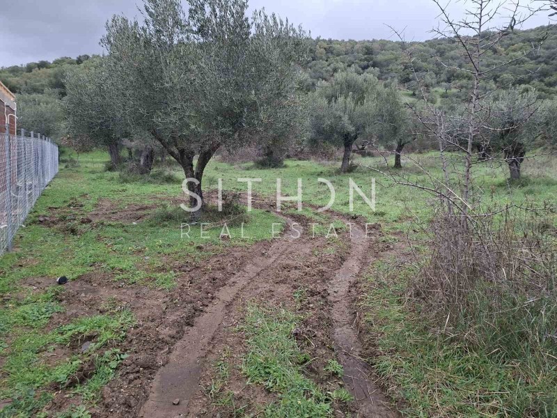 Αγροτεμάχια 480 τ.μ. προς πώληση, Κουφός Τορώνης
