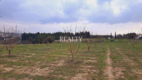 Land plot 6.500sqm for sale-Epanomi » Mesimeri
