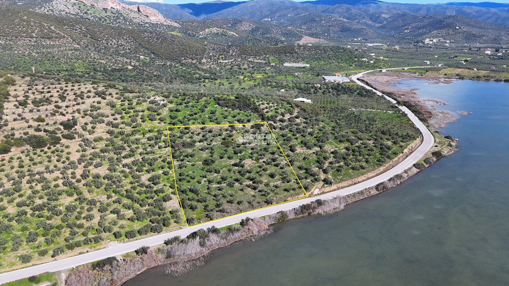 Αγροτεμάχια 9.914,65 τ.μ. προς πώληση, Θερμησία