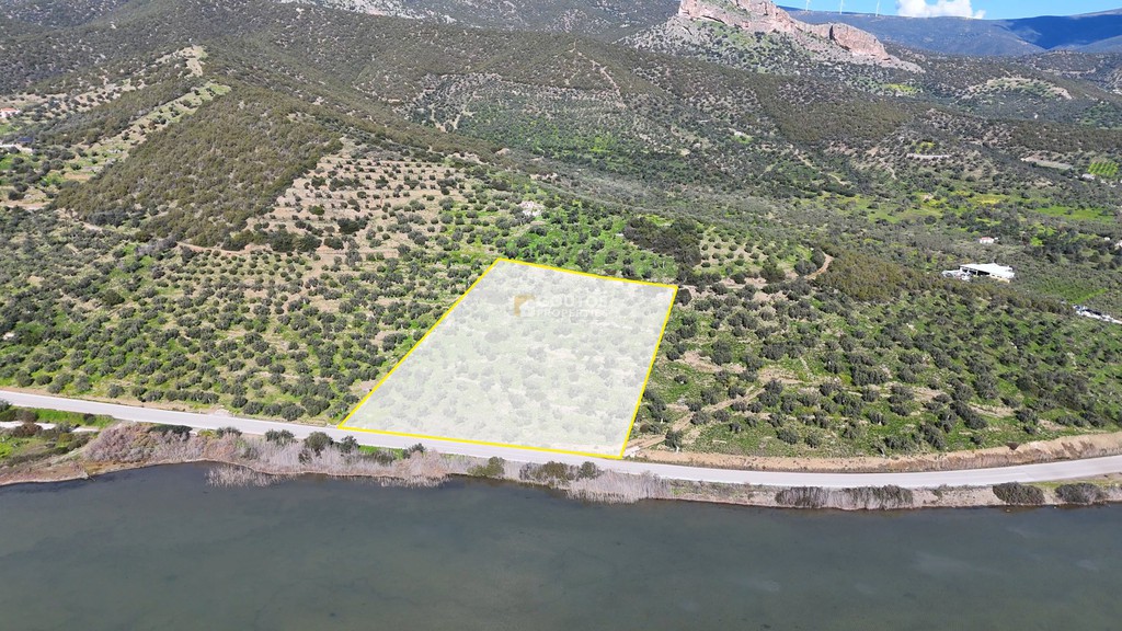 Αγροτεμάχια 9.914,65 τ.μ. προς πώληση, Θερμησία
