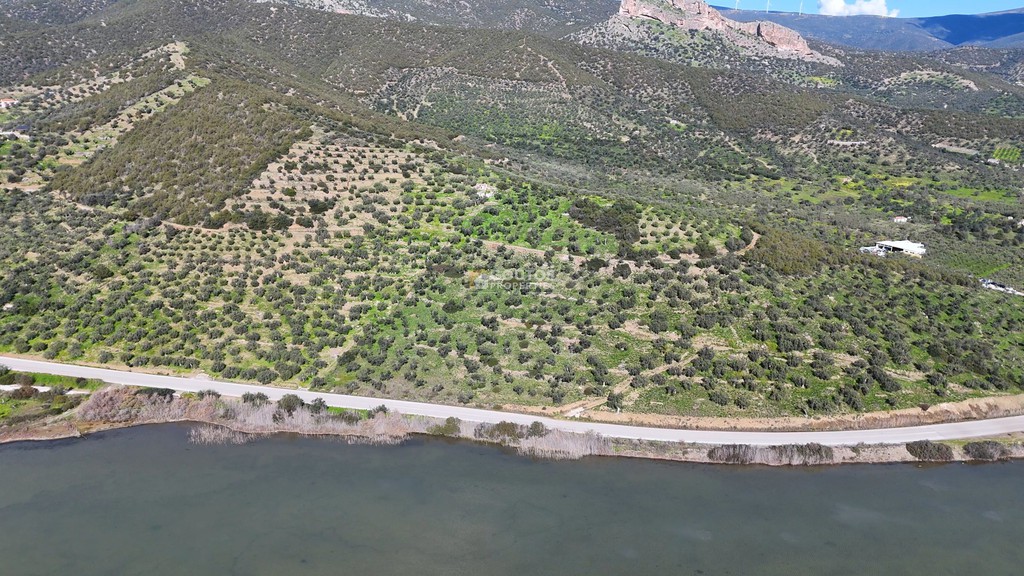 Αγροτεμάχια 9.914,65 τ.μ. προς πώληση, Θερμησία