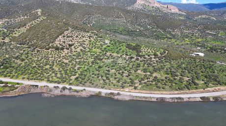 Αγροτεμάχια 9.914,65 τ.μ. για πώληση