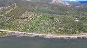 Αγροτεμάχια 9.914,65τ.μ. για πώληση-Ερμιόνη