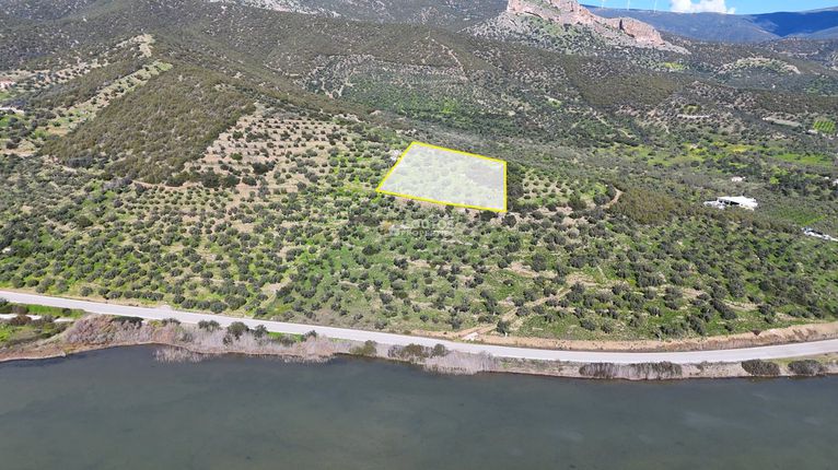 Αγροτεμάχια 4.635,02 τ.μ. για πώληση, Αργολίδα, Ερμιόνη