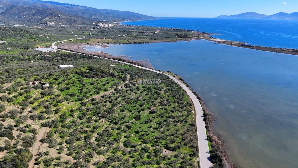 Αγροτεμάχια 4.635,02 τ.μ. προς πώληση, Θερμησία