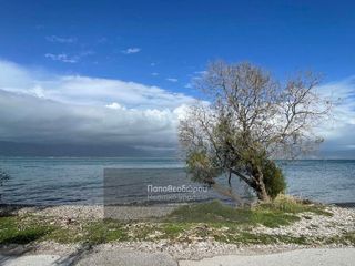 Οικόπεδο 2.729 τ.μ. για πώληση, Αχαΐα, Ρίο-thumb-2