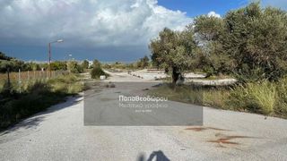 Αγροτεμάχια 4.002 τ.μ. για πώληση, Αχαΐα, Ρίο-thumb-2