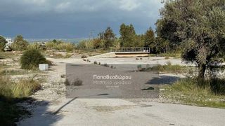 Αγροτεμάχια 4.002 τ.μ. για πώληση, Αχαΐα, Ρίο-thumb-5