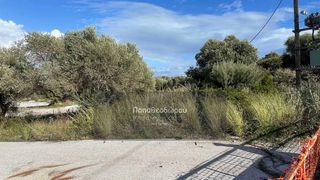 Αγροτεμάχια 4.002 τ.μ. για πώληση, Αχαΐα, Ρίο-thumb-3