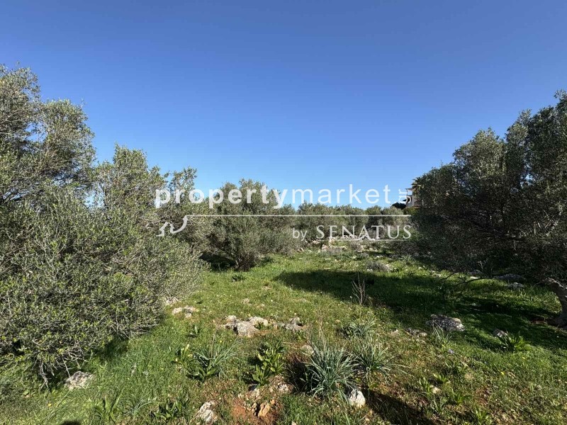 Οικόπεδο 6.112 τ.μ. προς πώληση, Κόκκινο Χωριό
