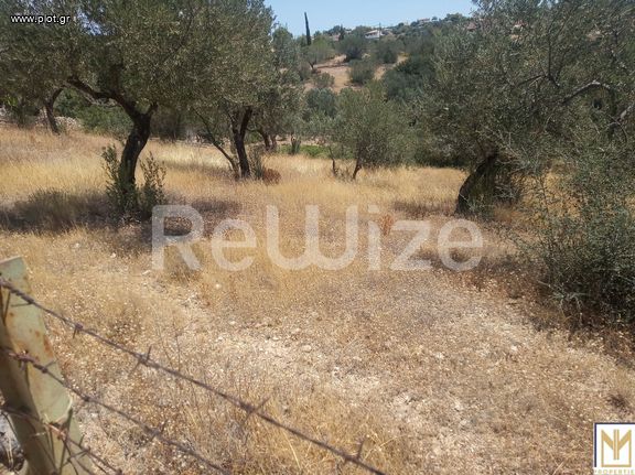 Αγροτεμάχια 5.794 τ.μ. για πώληση, Αργολίδα, Κρανίδι