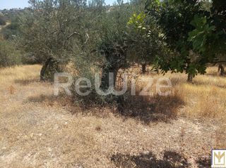 Αγροτεμάχια 5.794 τ.μ. για πώληση, Αργολίδα, Κρανίδι-thumb-2